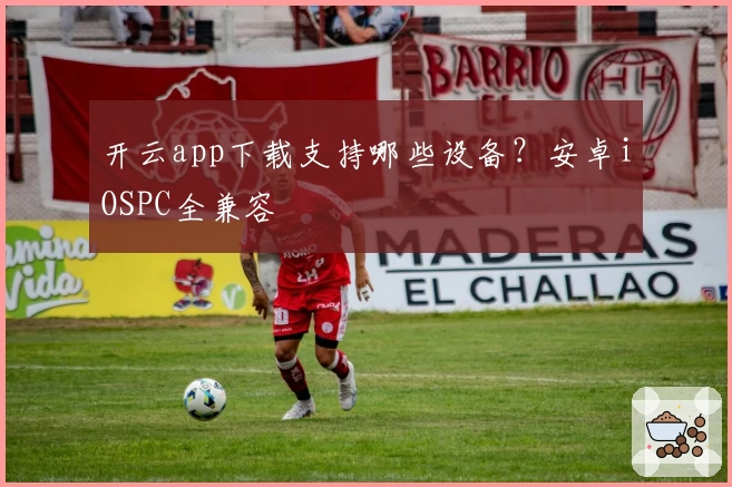开云app下载支持哪些设备？安卓iOSPC全兼容
