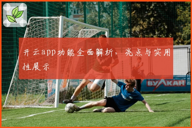 开云app功能全面解析，亮点与实用性展示