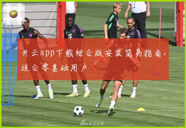 开云app下载综合版安装简易指南，适合零基础用户