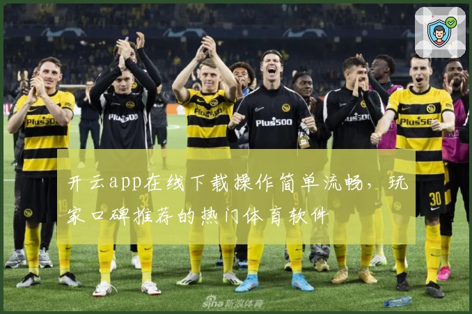 开云app在线下载操作简单流畅，玩家口碑推荐的热门体育软件
