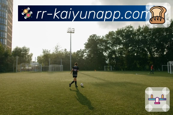 kaiyunAPP 封面图